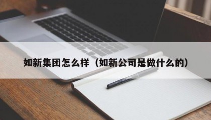 如新集团怎么样（如新公司是做什么的）