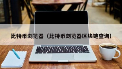 比特币浏览器（比特币浏览器区块链查询）