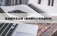 贵州朗玛怎么样（贵阳朗玛公司待遇好吗）