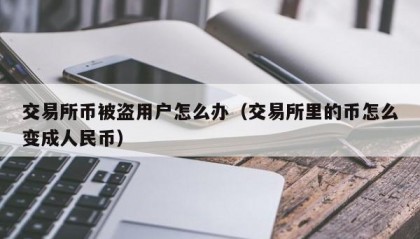 交易所币被盗用户怎么办（交易所里的币怎么变成人民币）