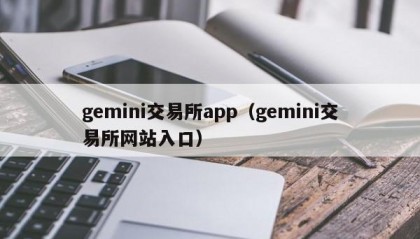 gemini交易所app（gemini交易所网站入口）